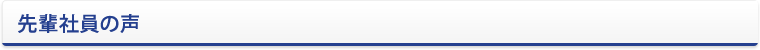 先輩社員の声